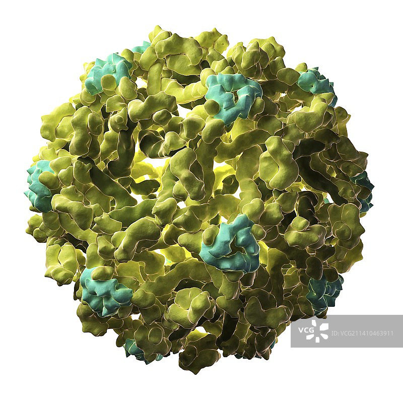西尼罗病毒颗粒图片素材