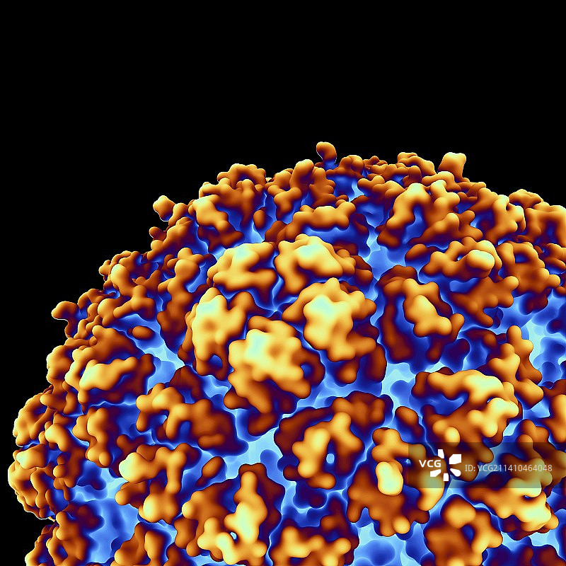 病毒颗粒艺术作品图片素材