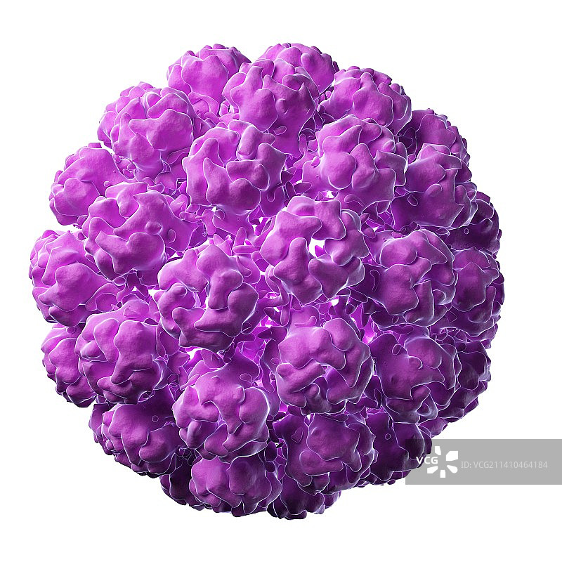 鼠多瘤病毒，艺术作品图片素材