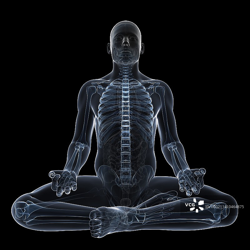 男性解剖学、艺术品图片素材