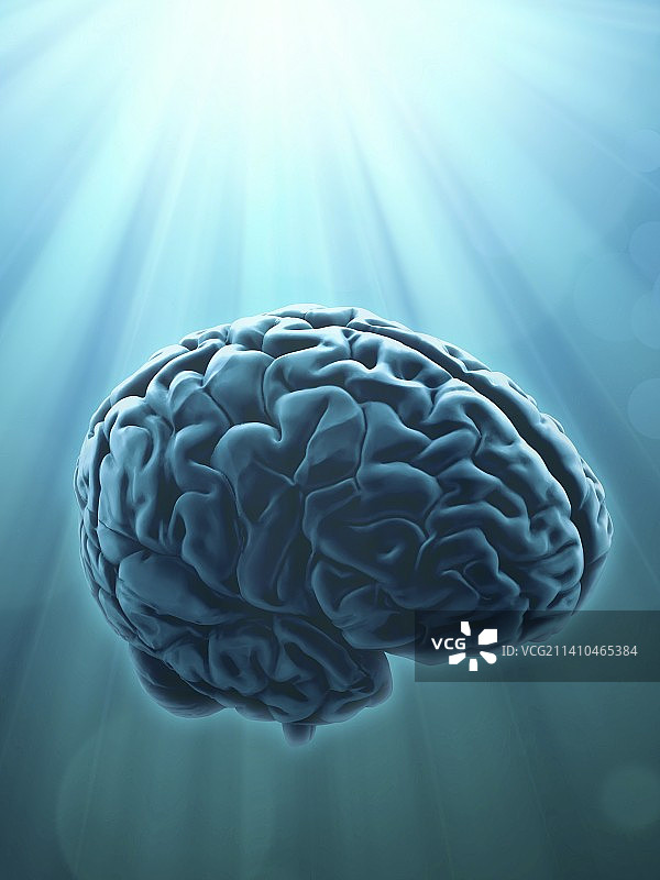 人脑，艺术品图片素材