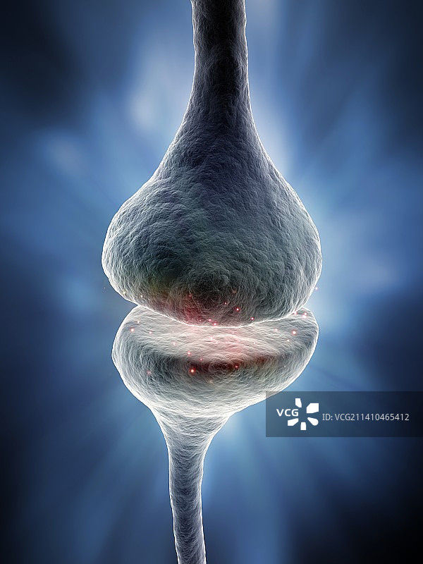 突触艺术作品图片素材