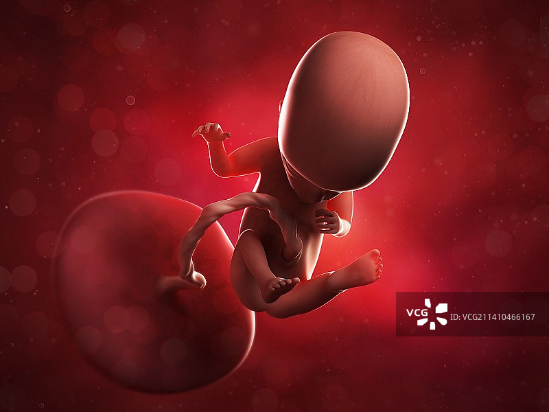 14周胎儿的美术作品图片素材