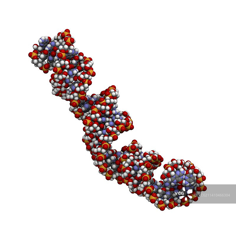 MicroRNA前体分子图片素材