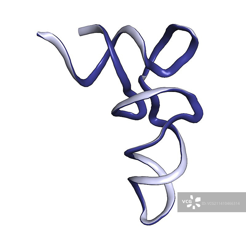 tRNA分子图片素材
