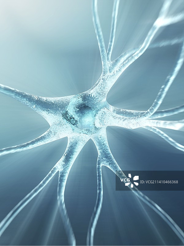 神经细胞艺术图图片素材