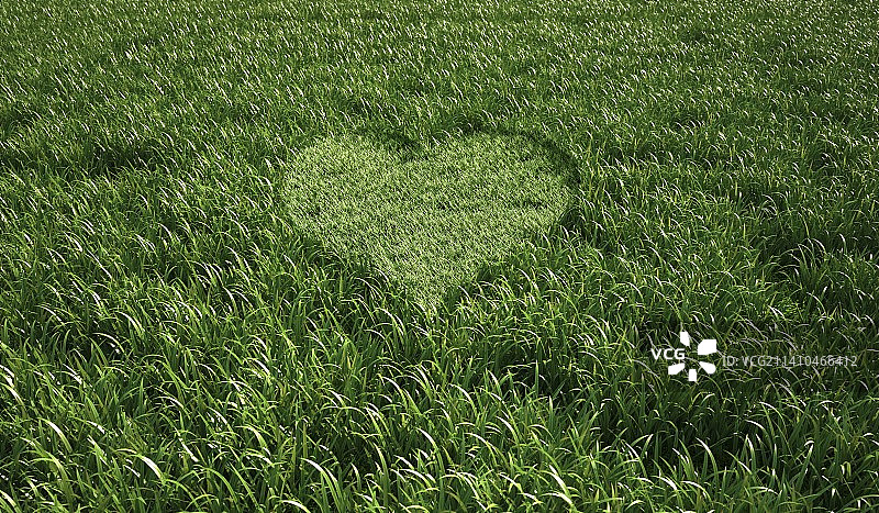 心形草地艺术作品图片素材
