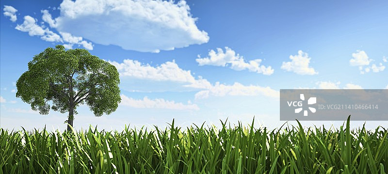 田野里的树，艺术作品图片素材