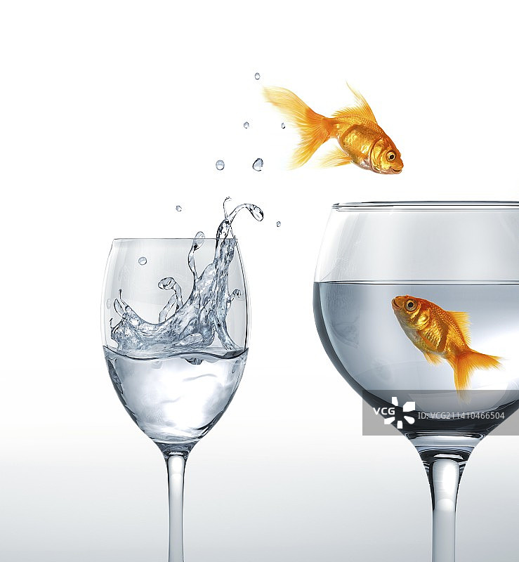 跳跃的金鱼，艺术作品图片素材