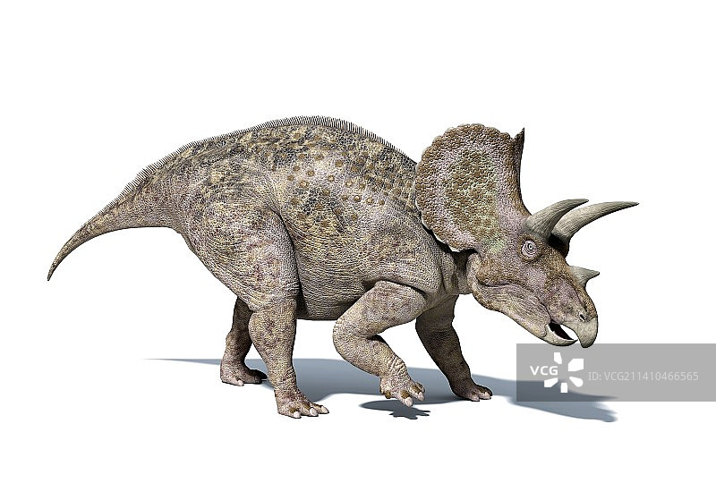 三角龙恐龙艺术作品图片素材