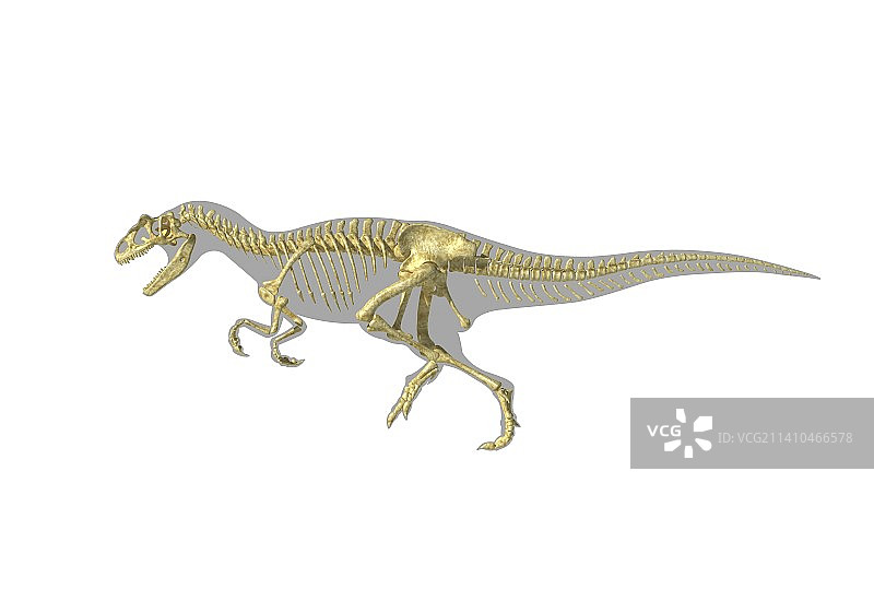 异特龙恐龙骨骼，艺术作品图片素材