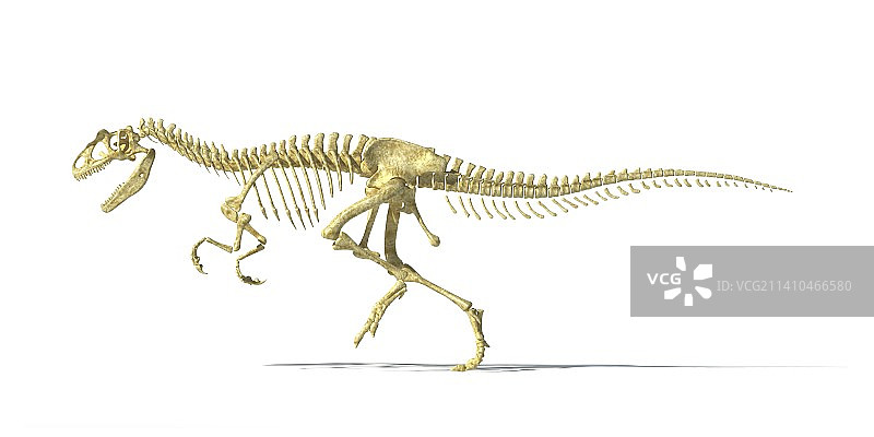 异特龙恐龙骨骼，艺术作品图片素材