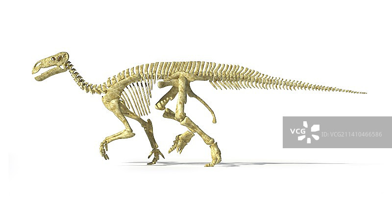 禽龙骨骼艺术作品图片素材