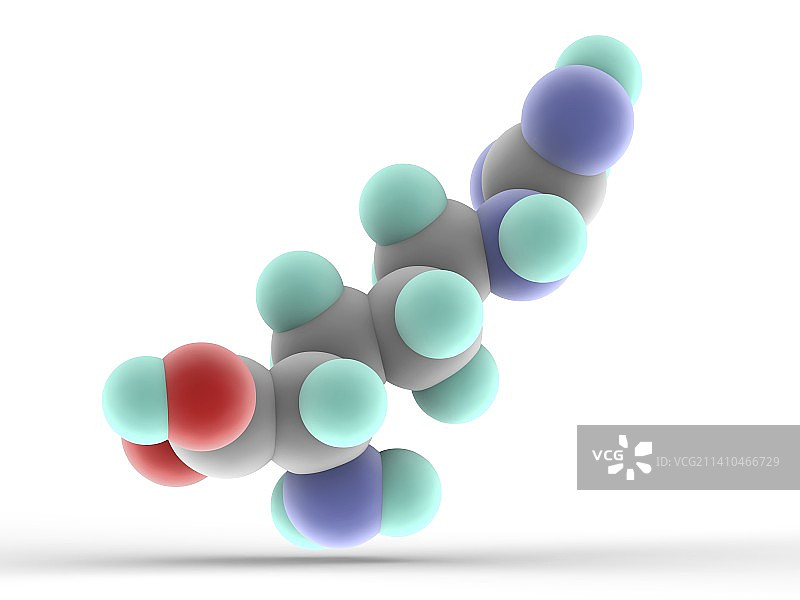精氨酸分子图片素材