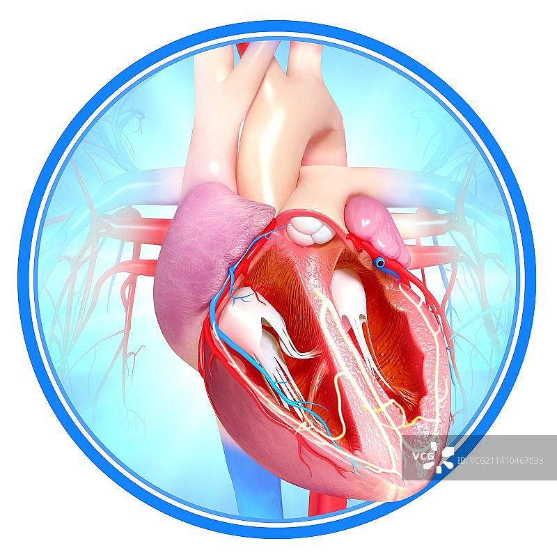 人心，艺术品图片素材