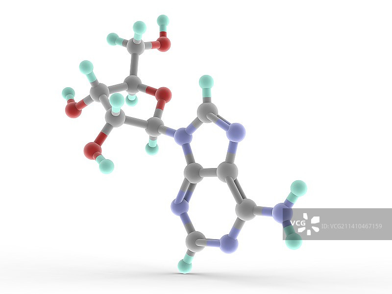 腺苷分子图片素材