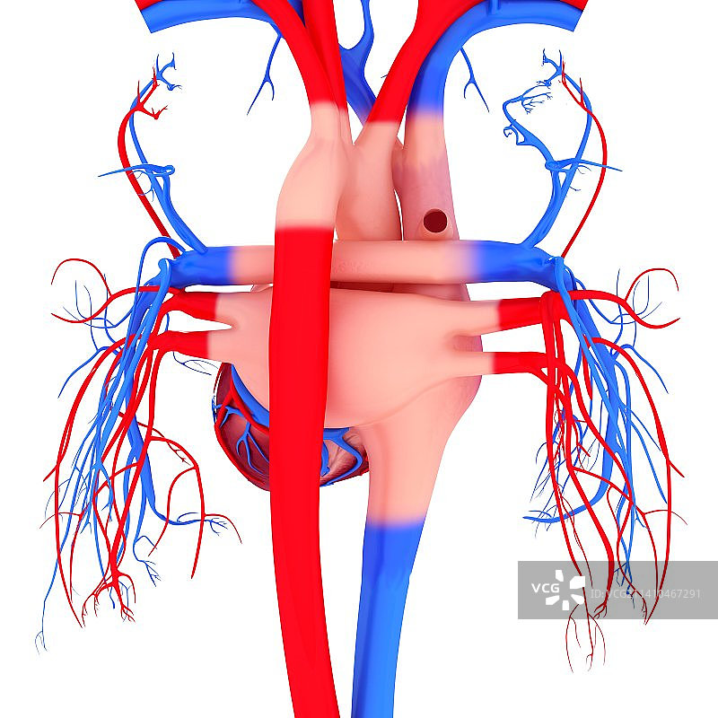 人心，艺术品图片素材