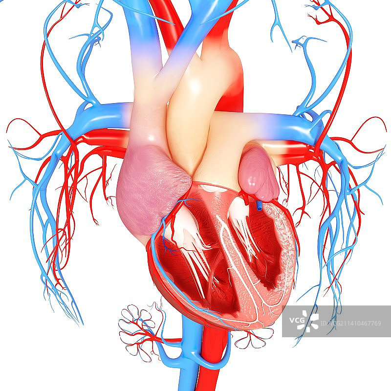 人心，艺术品图片素材