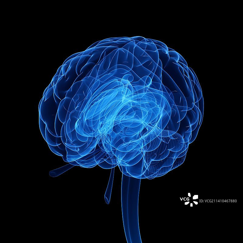 人脑，艺术品图片素材