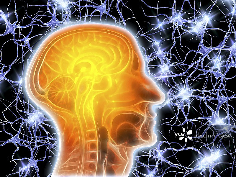 核磁共振脑部扫描与神经细胞图片素材