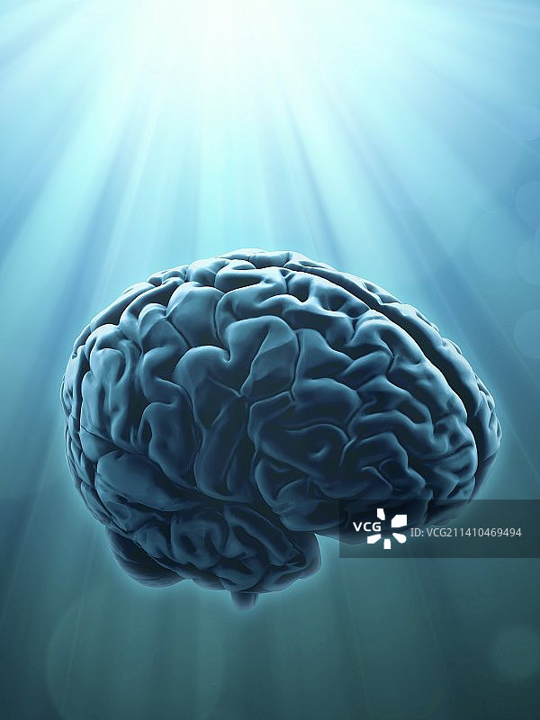 人脑，艺术品图片素材