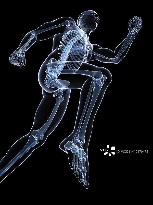 奔跑的骨骼艺术作品图片素材