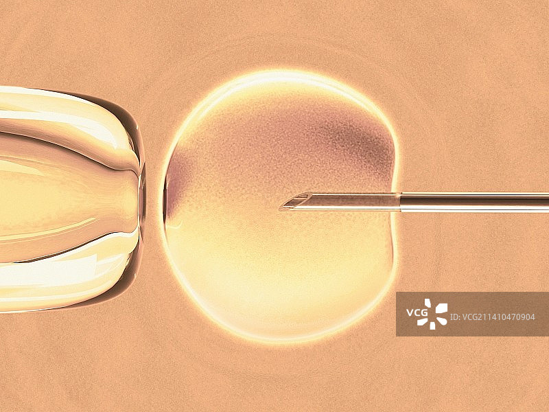 体外受精艺术作品图片素材