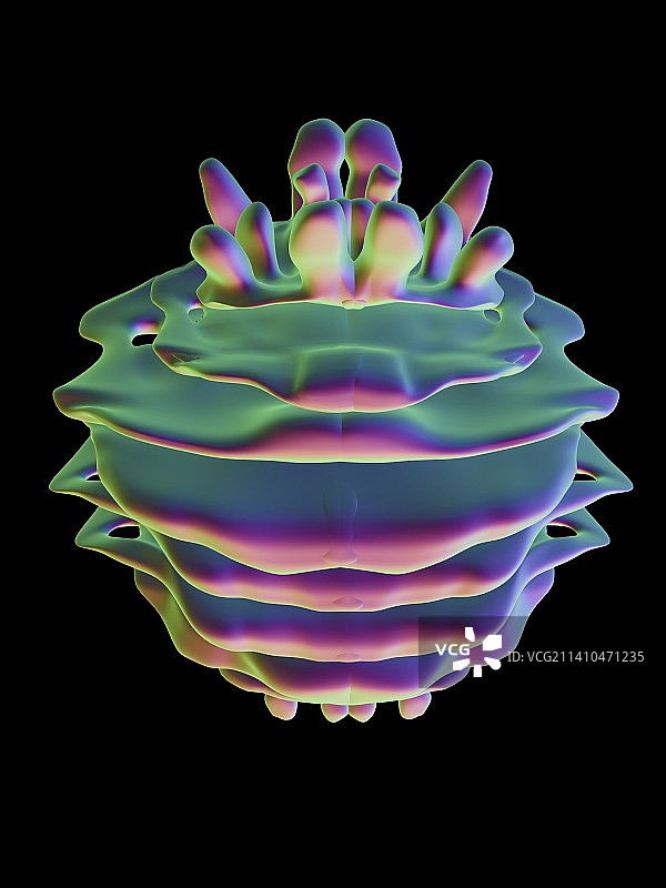 高尔基体艺术图图片素材