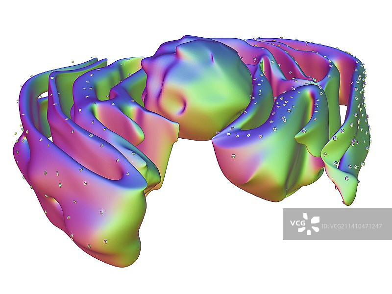 细胞核和内质网图片素材