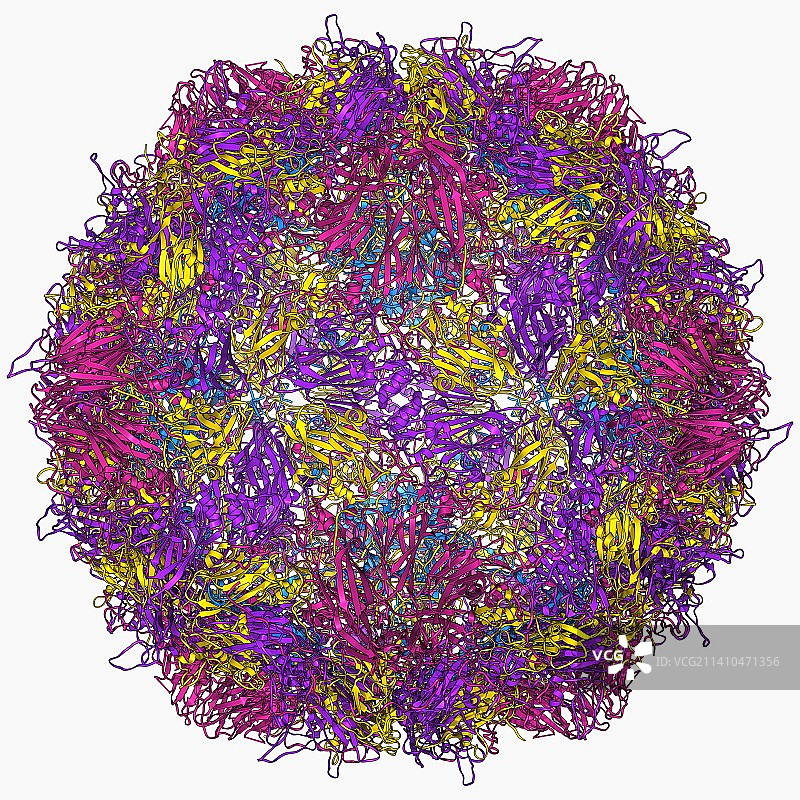 脊髓灰质炎病毒颗粒图片素材