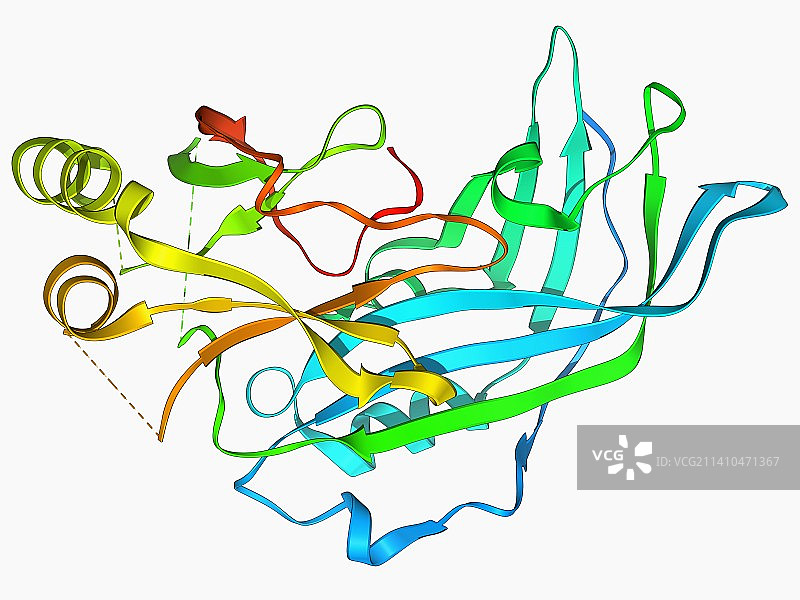 埃博拉病毒基质蛋白分子图片素材