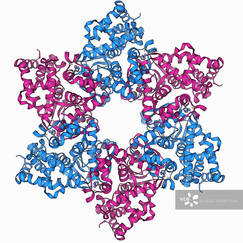 DNA解旋酶分子图片素材