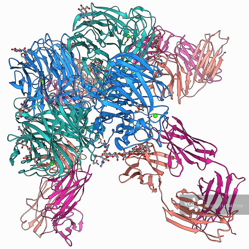 流感病毒表面蛋白和抗体图片素材