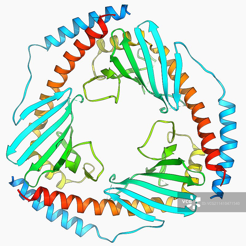 P32线粒体基质蛋白图片素材