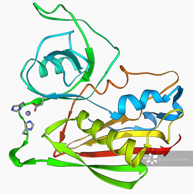 葡萄球菌肠毒素C2分子图片素材