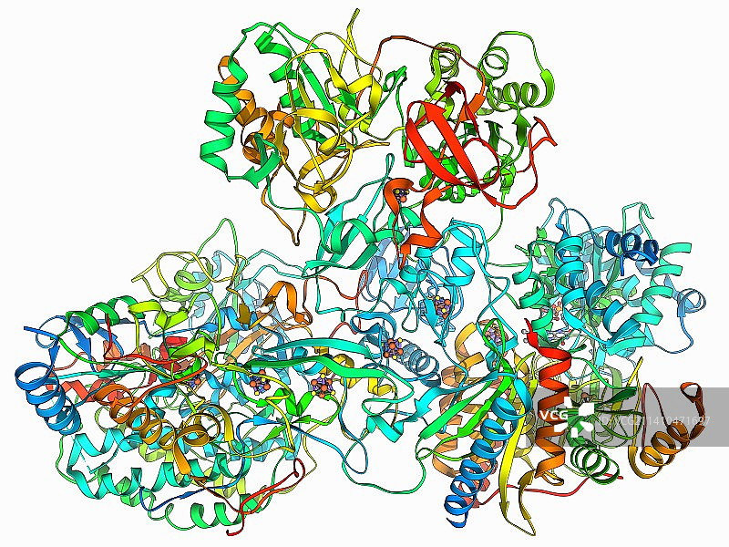 呼吸链复合体I图片素材