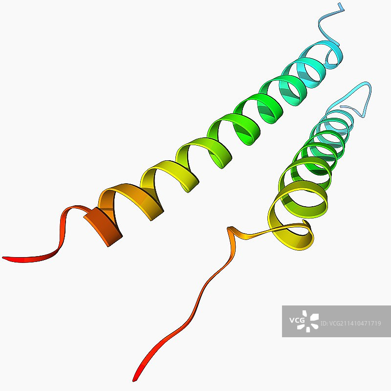 整合素跨膜结构域图片素材