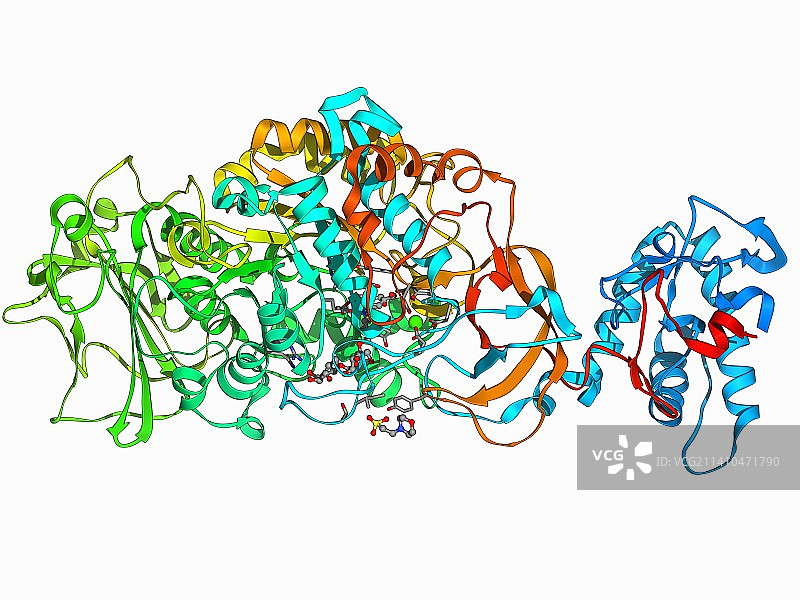 细菌生物膜酶图片素材
