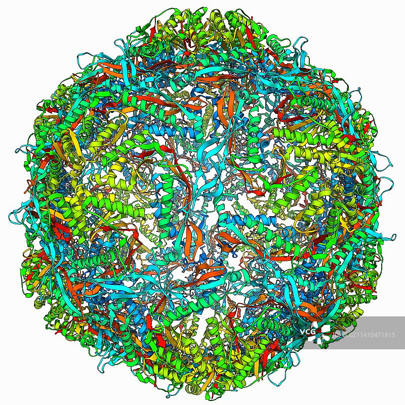 细菌纳米区室图片素材