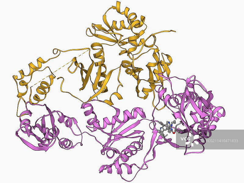 HIV逆转录酶图片素材