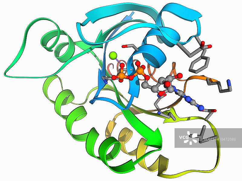 H-Ras p21癌基因蛋白图片素材