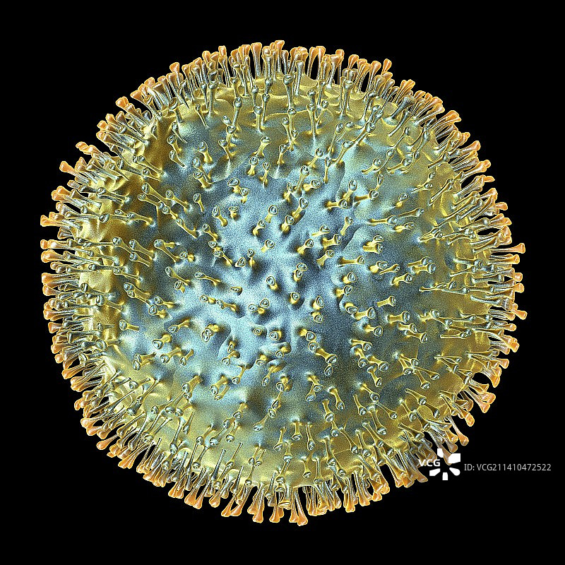 禽流感病毒艺术图图片素材