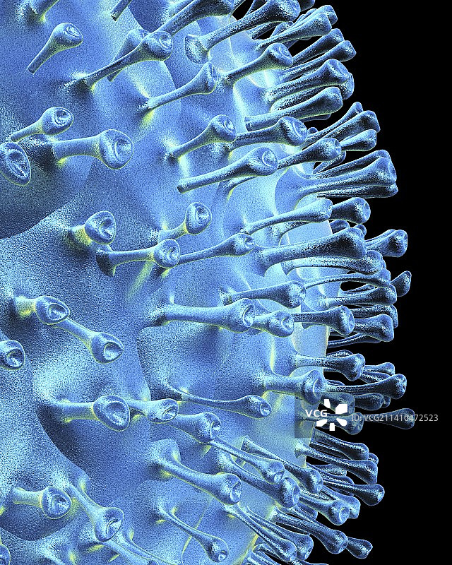 禽流感病毒艺术图图片素材