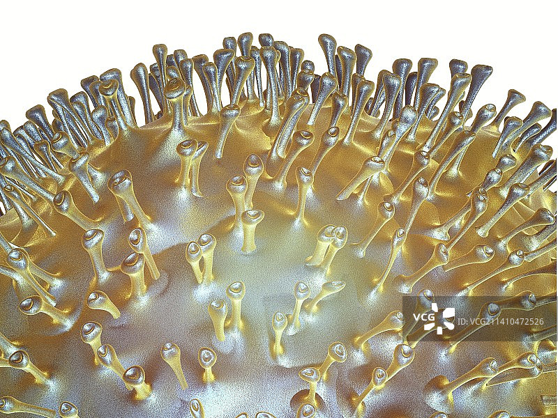 禽流感病毒艺术图图片素材