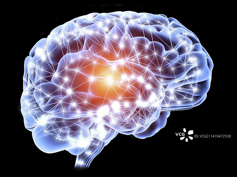 大脑，神经网络图片素材
