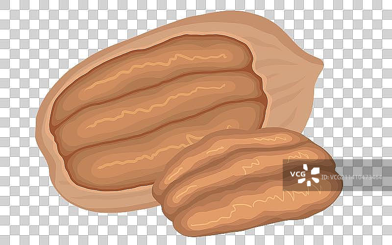 碧根果插画元素图片素材