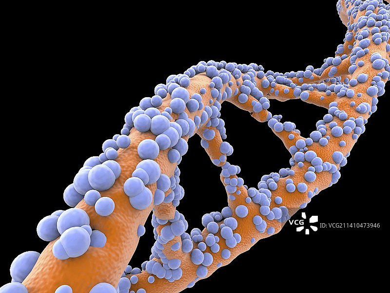 DNA分子，艺术品图片素材