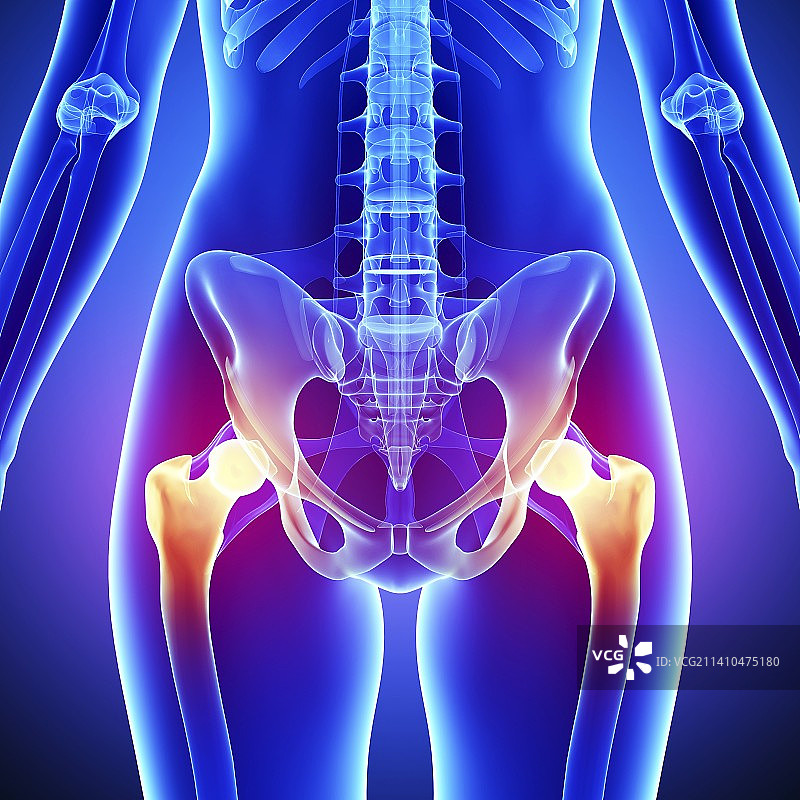 盆腔疼痛艺术作品图片素材