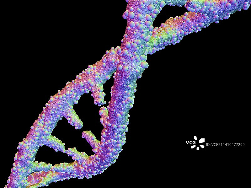 DNA分子，艺术品图片素材