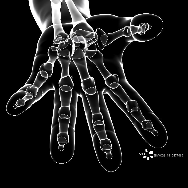 人体手部骨骼艺术图片素材